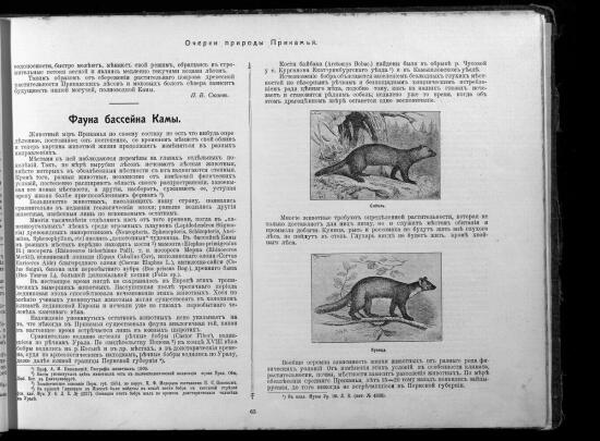 Иллюстрированный путеводитель по реке Каме и по р. Вишере с Колвой 1911 года - screenshot_4818.jpg
