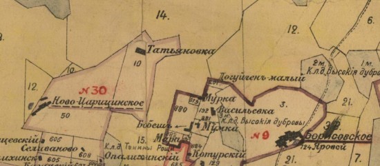 Карта части Омского и Тарского округов ~ 1887 год - screenshot_6435.jpg
