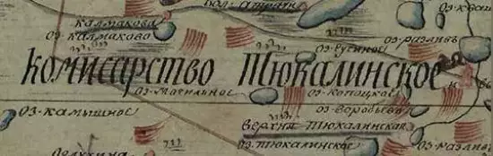 Карта Омского уезда Тобольской губернии 1815 года - screenshot_4571.webp