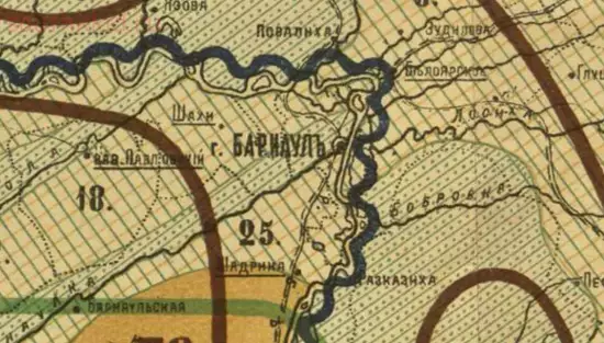 Схематическая карта растительности Алтайского округа 1899 года - screenshot_4790.webp
