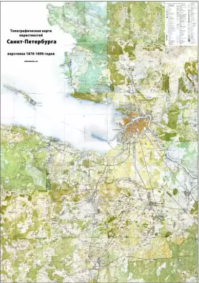 Подробная топографическая карта окрестностей Санкт-Петербурга 1870-1890 годов - screenshot_552.webp