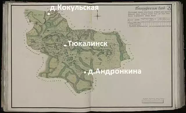 Карта тюкалинского и омского уезда 1919 года