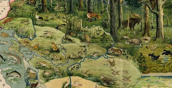 Зоогеографическая наглядная учебная карта С.С.С.Р. 1928 года - screenshot_3332.webp