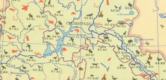 Карта охоты западной части РСФСР 1958 года - screenshot_3577.jpg