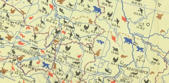 Карта охоты восточной части РСФСР 1958 года - screenshot_3579.jpg