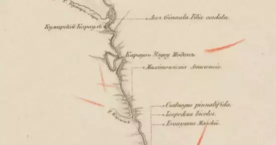 Карта берегов Амура 1855 года - screenshot_3583.webp