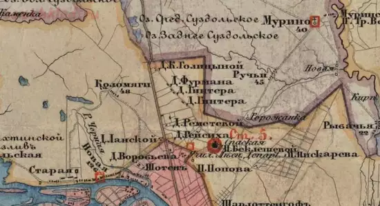 Карта Петербургского уезда Санкт-Петербургской губернии 1854 года - screenshot_5849.webp