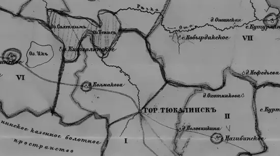 Карта Тюкалинского округа Тобольской губернии 1893 года - screenshot_1306.webp