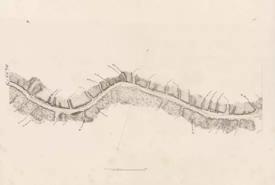 Карта реки Шилки 1859 года - screenshot_2859.webp