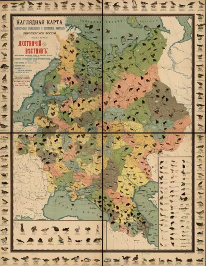 Наглядная карта распространения промысловых и охотничьих животных Европейской России 1906 года - screenshot_3201.webp